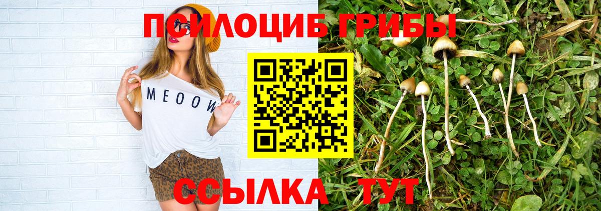 Галлюциногенные грибы GOLDEN TEACHER  Вход с VPN  купить наркоту  Сосновый Бор 